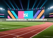 挪威国家队在小组里表现出色：青春与战术交织的精彩篇章