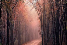 瑞士队客场逼平卢森堡队，保持不败战绩