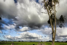 荷兰队在主场击败土耳其队，势如破竹