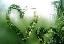 荷兰队在主场击败土耳其队，势如破竹