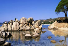 荷兰队在主场击败土耳其队，势如破竹