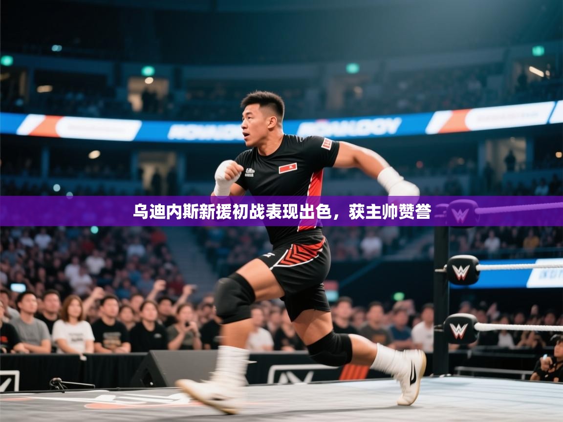 乌迪内斯新援初战表现出色，获主帅赞誉  第2张